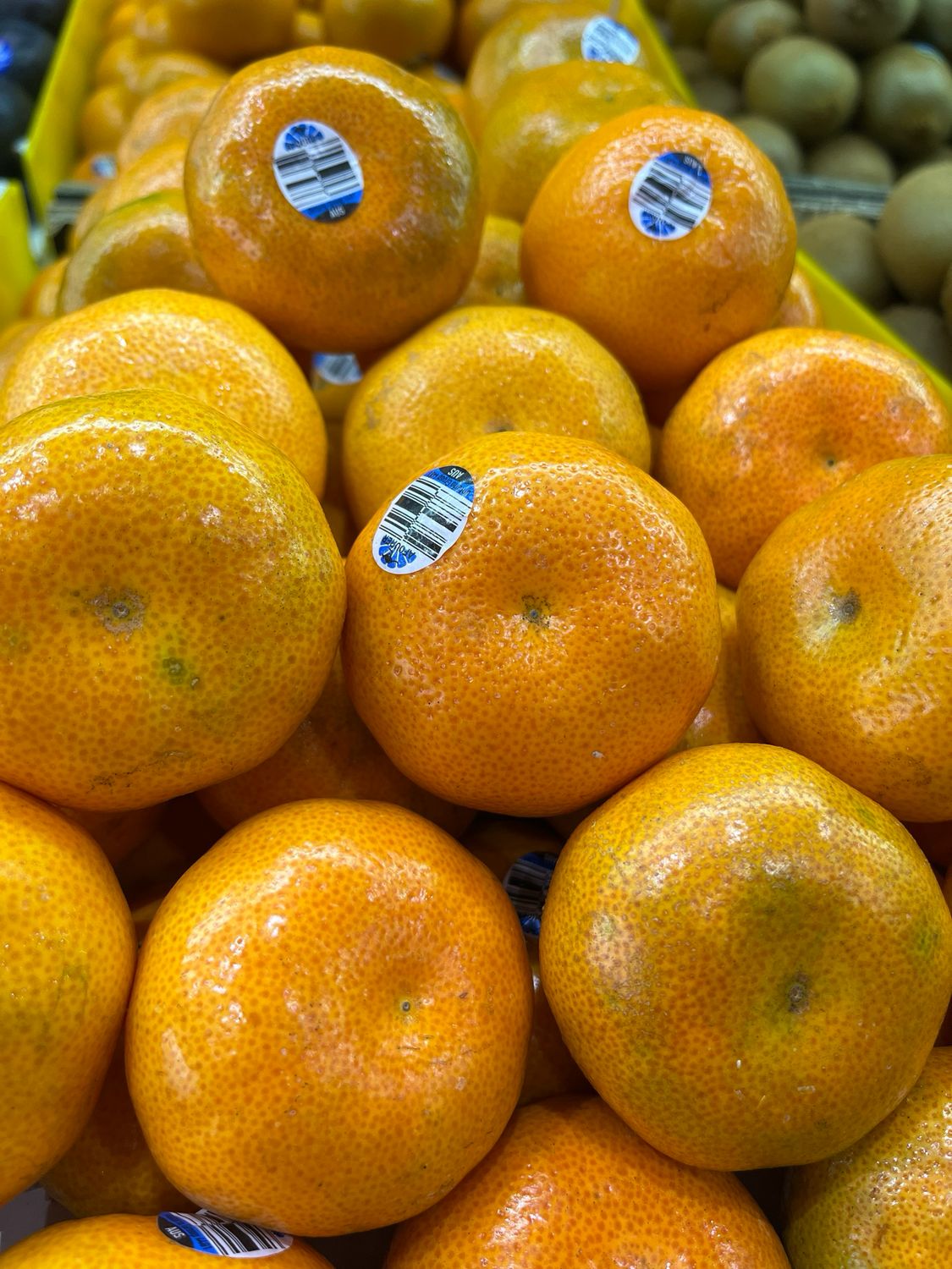 Afourer Mandarins AUS