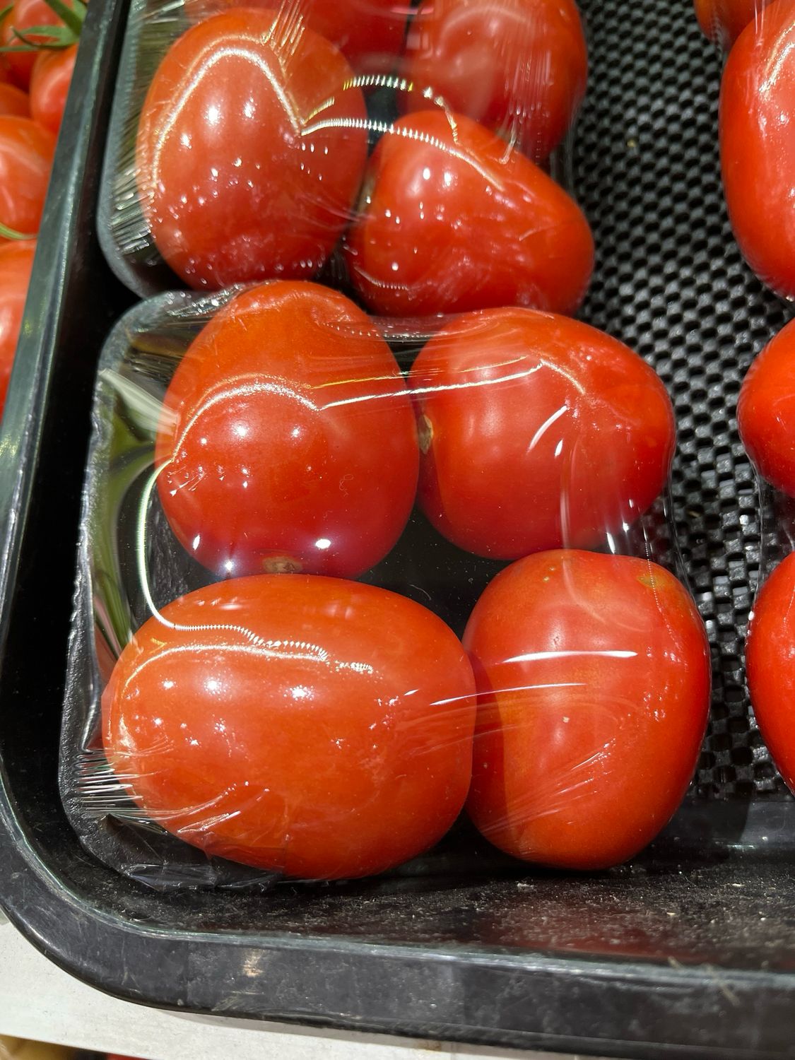 Roma Tomatoes Tray