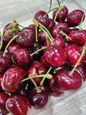 Cherry Punnet