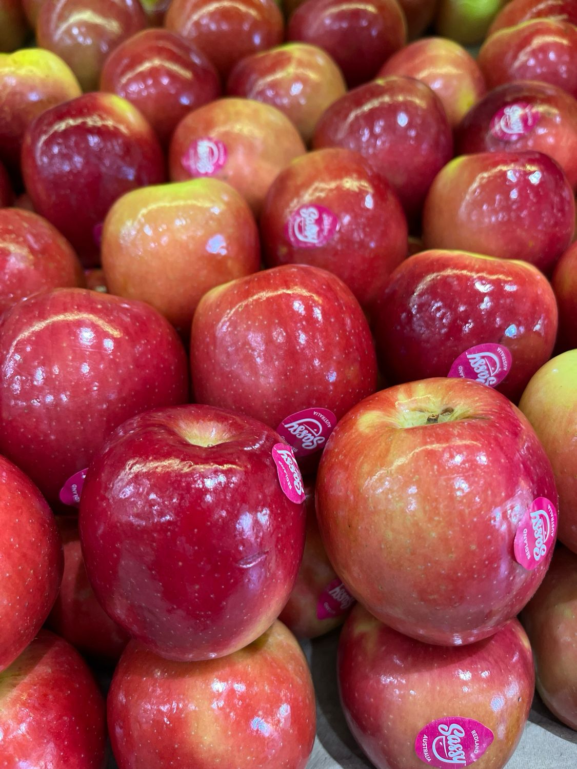 Sassy Apples (*New Season)