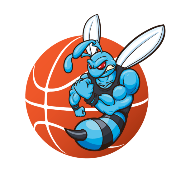 Hornets Basketball Online Store