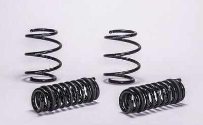 Lightweight lowering springkit Lightweight lowering springkit