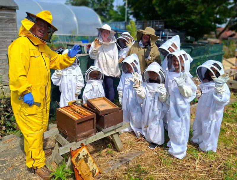 Workshop - Beekeeping aged 6-10 14 August 1:00pm
