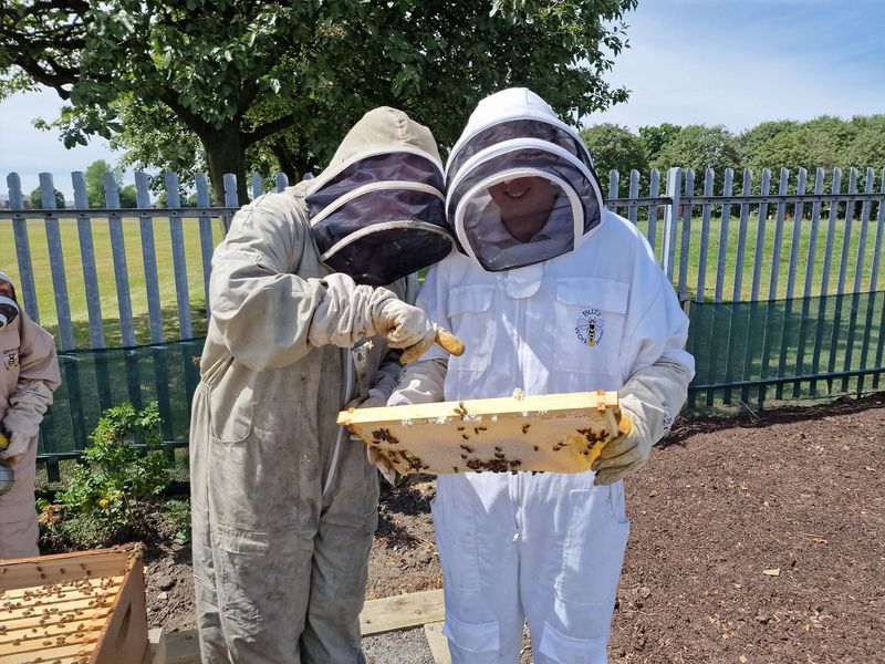 Workshop Beekeeping aged 11-16 Wednesday  19th August 1:00pm
