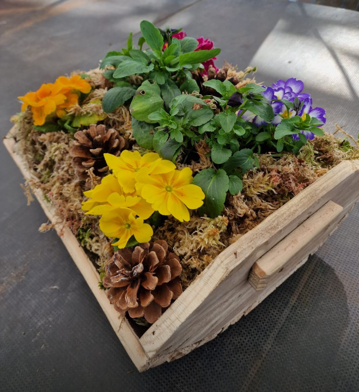 Trug making workshop Tuesday 14 April 10AM Trug making workshop Tuesday 14 April 10AM