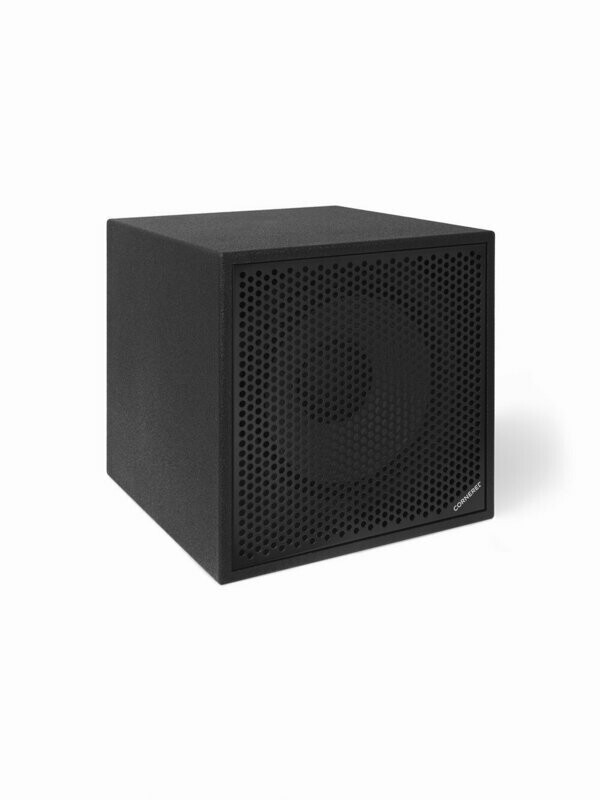 Subwoofer passiv 1000 Watt Subwoofer passiv 1000 Watt