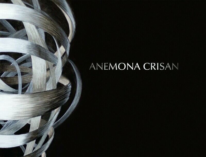 Anemona Crisan, Intersecting Lines, New Orleans, 2015