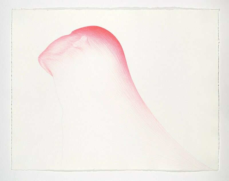 Dehnung, 51x65cm, Buntstift/Papier, 2010