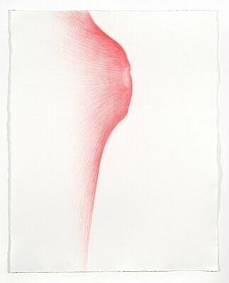 Dehnung, 65x51cm, Buntstift/Papier, 2010