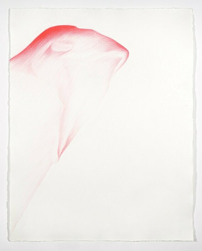 Stretching,  65x51cm/ 20.07x25.59in., crayon/paper, 2010