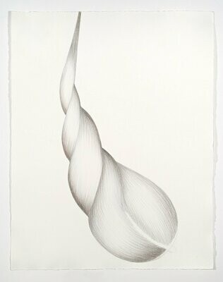 Strick, 65x51cm, Buntstift/Papier, 2011