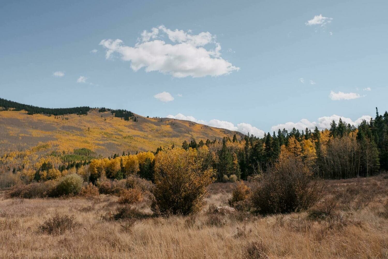 Trail Closure and Revegetation | OSI Field Guides