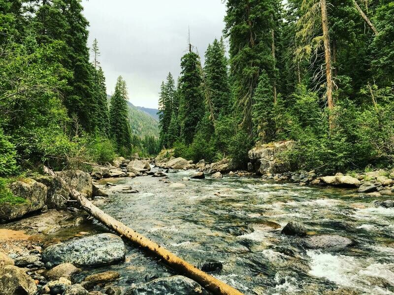 Guide to Crew Leadership for Ecological Restoration