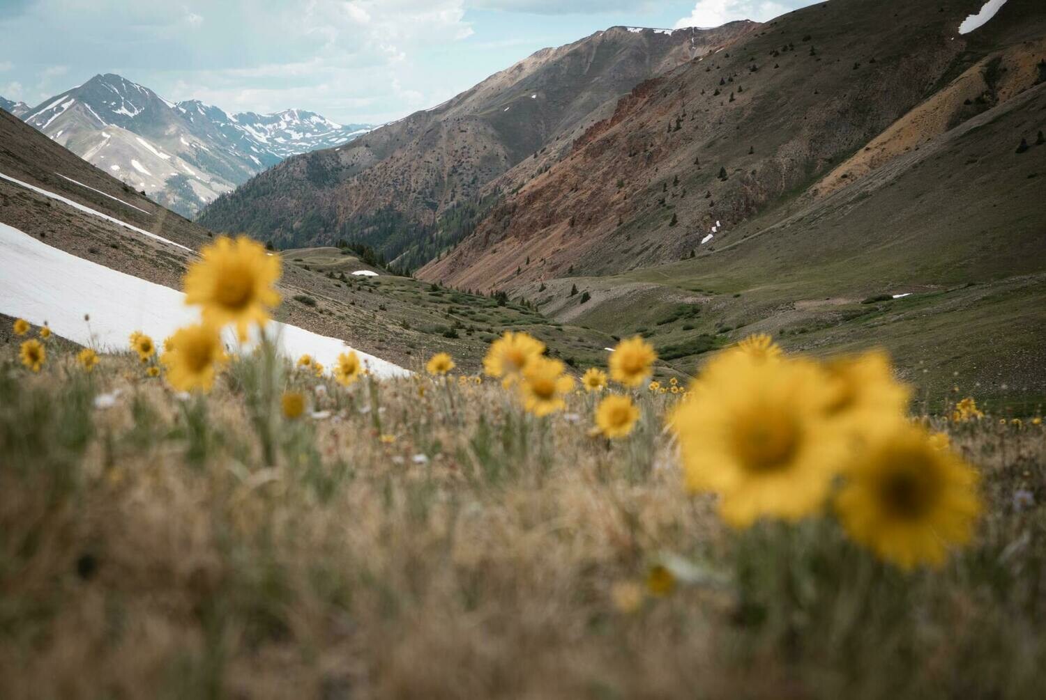 Trail Overview, Construction and Maintenance | OSI Field Guides