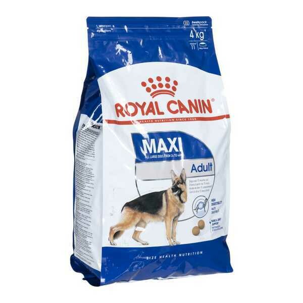 royal canin maxi adult 4 kg