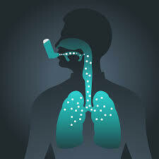 哮喘 | Asthma