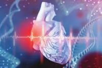 尿酸冠狀動脈鈣化 | Uric Acid Coronary Calcification