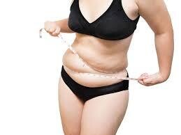 科學+家 溶脂研究 | SCIENTIST HOME Lipolysis Study