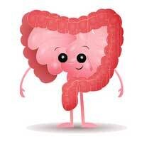 消化系統疾病 - 多學科復康 | Digestive Disorder (MRP)
