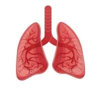 慢性呼吸系统疾病 - 多學科復康 | Chronic Respiratory Disease (MRP)