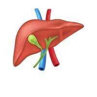 非酒精性脂肪肝 | Non-Alcoholic Fatty Liver