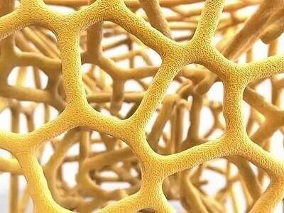 科學+家 水解骨膠原蛋白 (4送1) | SCIENTIST HOME Bone Gelatine Hydrolysate (4 Free 1)