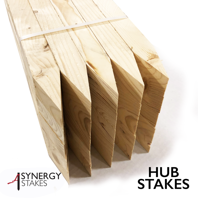 Hub Stakes