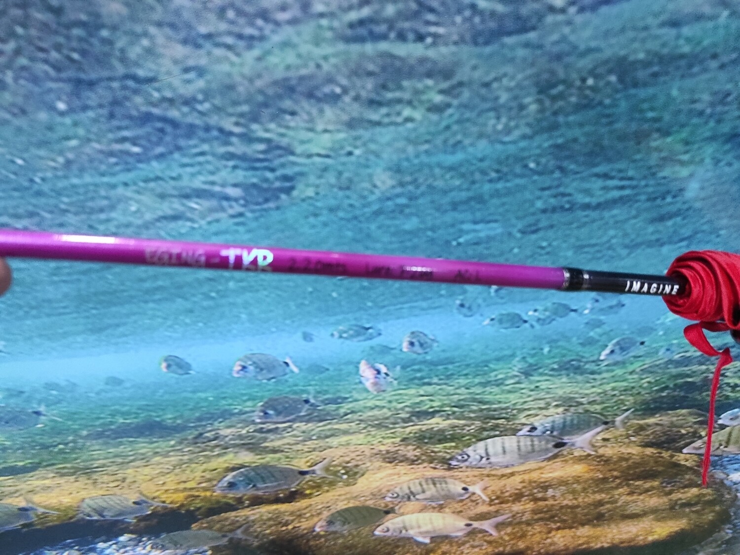 Caña Takeshi TKR 2,50Mtr - 7/26Gr