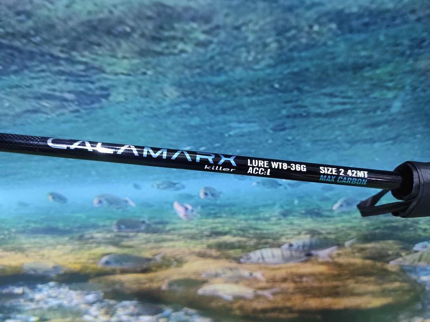 Caña Takeshi CalamarX Killer 2,40Mtr - 8/36Gr - Max Carbon