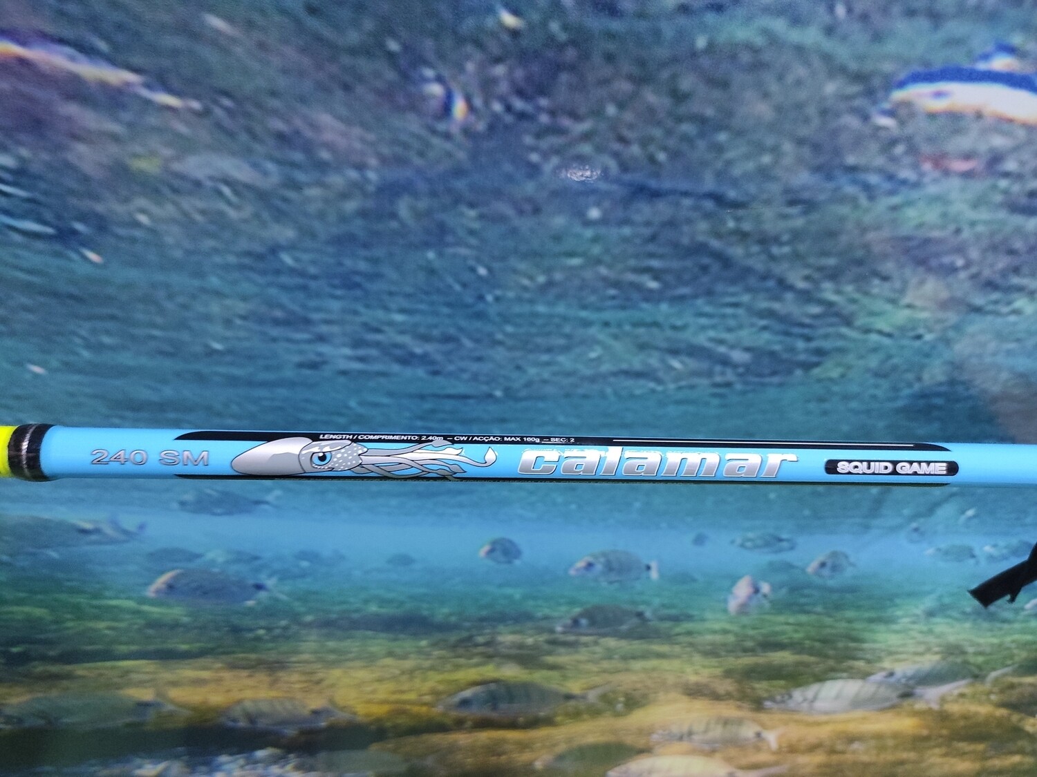 Caña Barros Calamar Squid 2.10Mtr - Max160Gr - Azul
