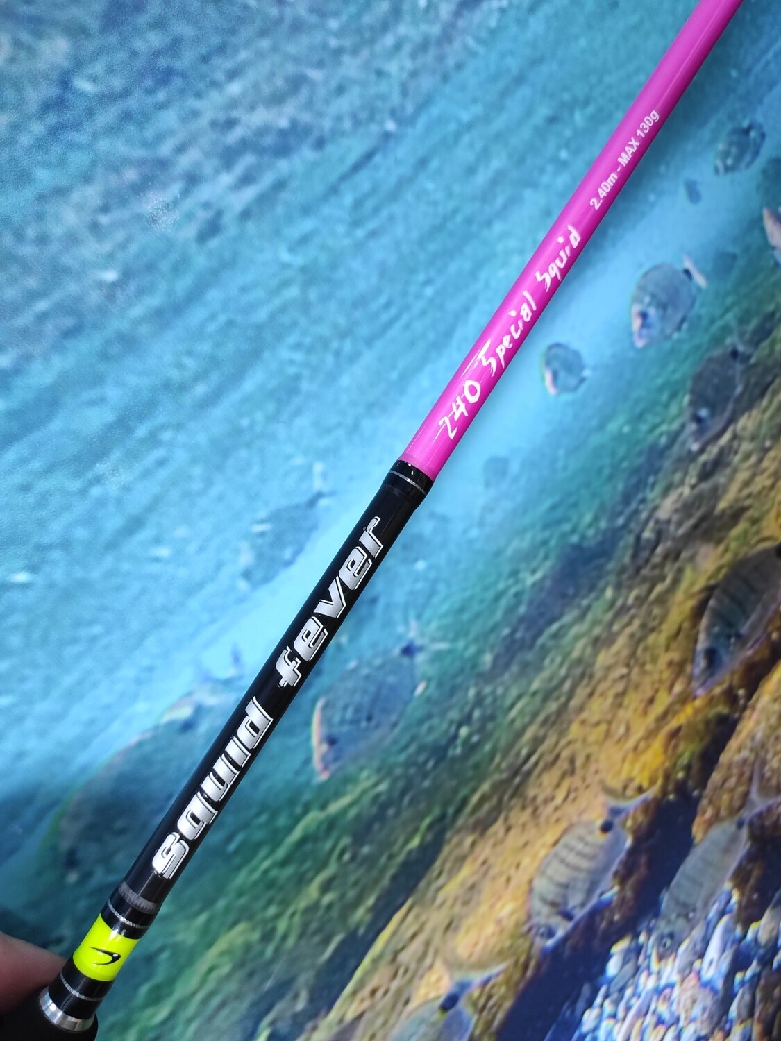 Caña Barros Calamar Squid 2.40Mtr - Max130Gr - Rosa