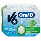 V6 Oral B Spearmint 17g