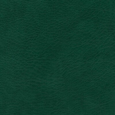 SIMILI CUIR BOEING 2000 M2 sapin 140 SIMILI CUIR BOEING 2000 M2 sapin 140