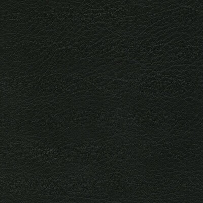 SIMILI CUIR BOEING 2000 M2 noir 140 SIMILI CUIR BOEING 2000 M2 noir 140
