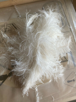 Lot de petites et moyennes plumes blanches Lot de petites et moyennes plumes blanches