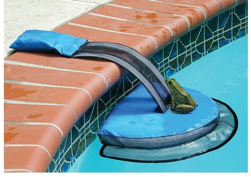 Frog Log Critter Saver