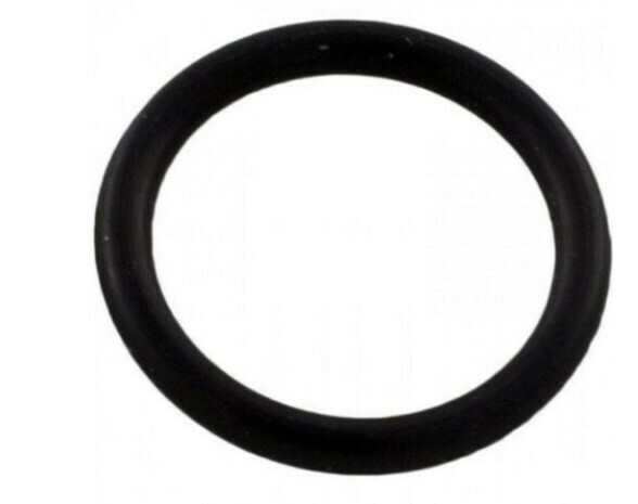 Pentair Pump O-ring for Drain Plug