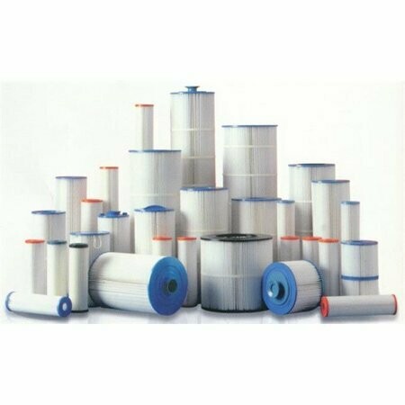 SWIM CLEAR C2025 FILTER CARTRIDGE