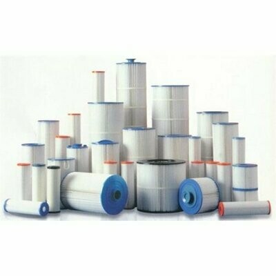 SWIM CLEAR C2025 FILTER CARTRIDGE