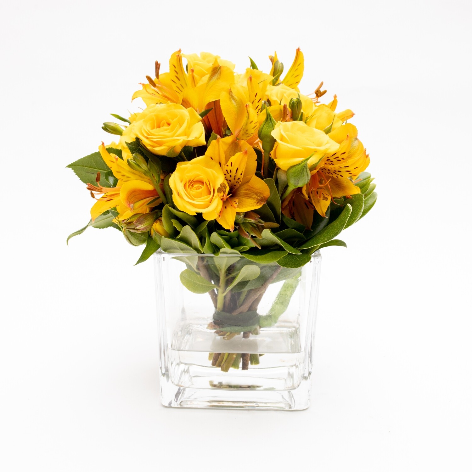 ARIZE
ARRANJO FLORAL COM VASO ARIZE
ARRANJO FLORAL COM VASO