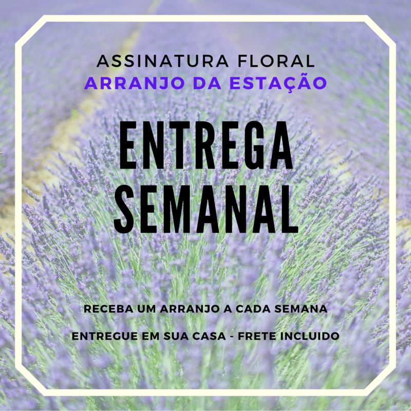 RECEBA OU PRESENTEIE UMA ASSINATURA FLORAL - SEMANAL