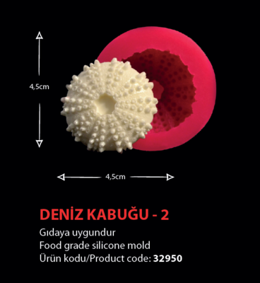 32950 Deniz Kabuğu 2