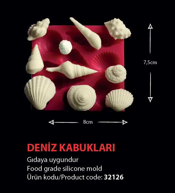 32126 Deniz Kabukları