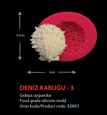 32951 Deniz Kabuğu 3
