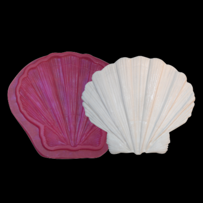33288 Shell Deniz Kabuğu