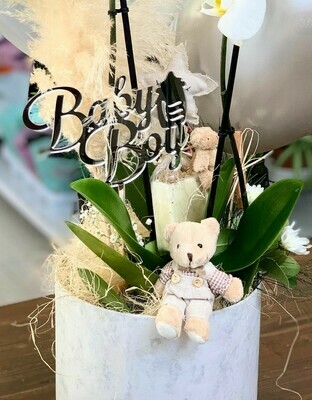 Pasta Topper - Baby Boy