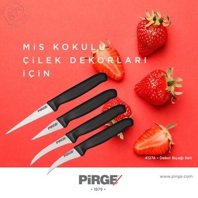 41274 GASTRO PRG Dekor Bıçak Set 4&#39;lü