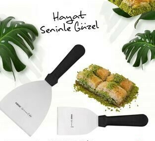 Spatulalar
