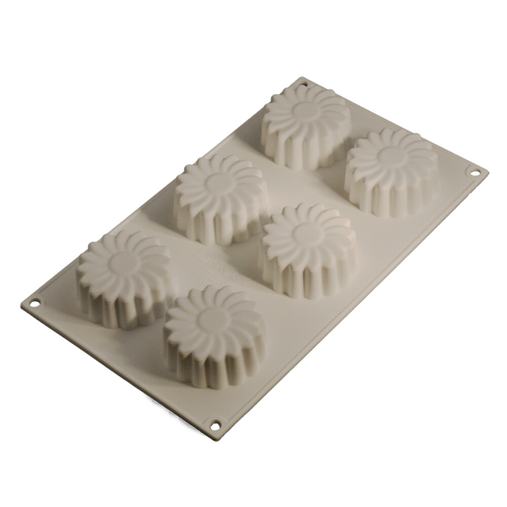 52024 6&#39;Lı Papatya