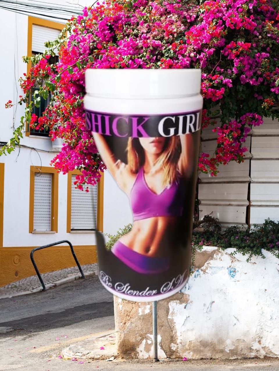 Skinny Chocolate Shake (500 g)
